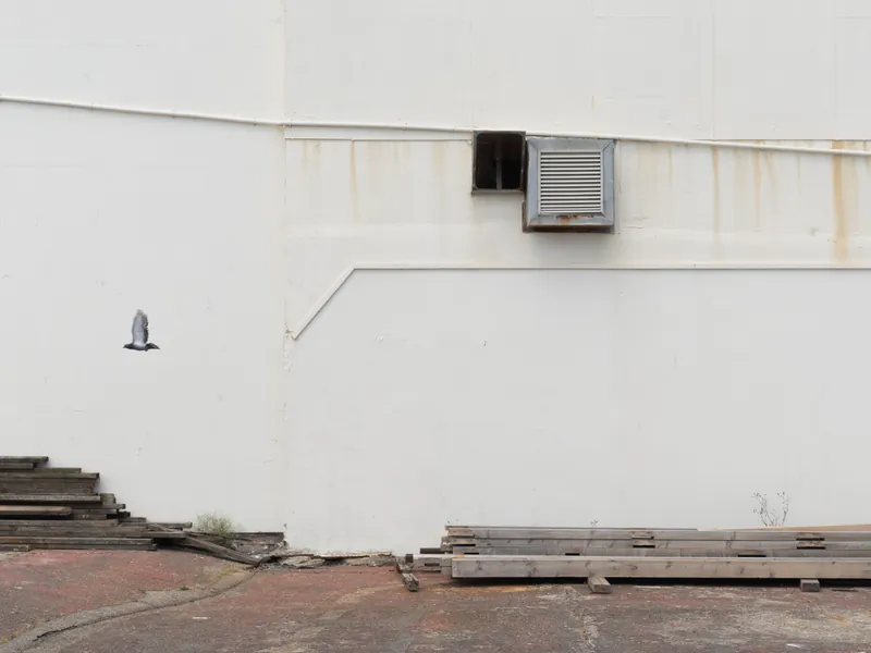 Pigeon nest, Bognor Pier. 2024.
